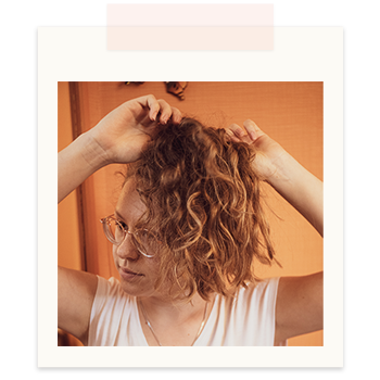 Photo queue de cheval sur le haut de la tête.